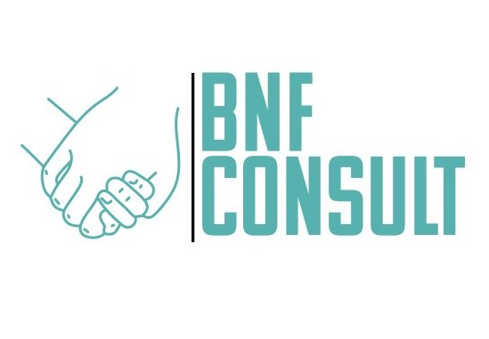 BNF Consult Ghana Logo